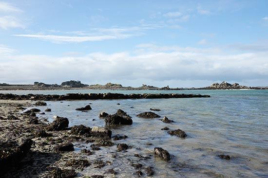 Le très très vieux port de Roscoff