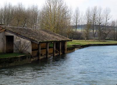 Un air de printemps sur les bords de Meuse
