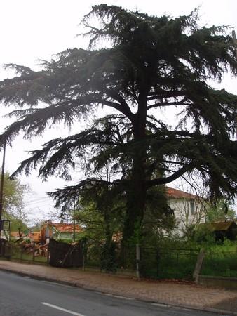 angle_avenue_des_colonies__8_