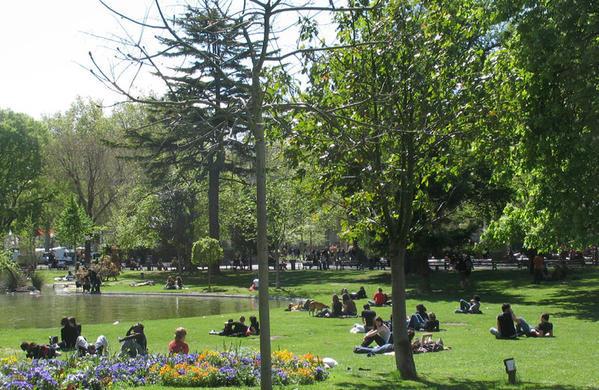 Flashes et rototos !...