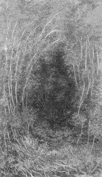 Flashes et rototos !...