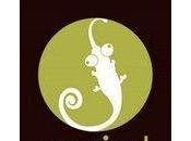 Serial Sticker édition limitée