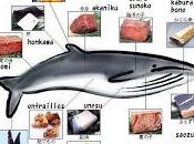 Gastronomie baleinière