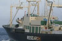 [MàJ-14 mars 08] Sea Shepherd attaque le Nisshin-maru, trois blessés
