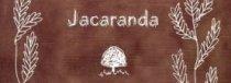 Article : Jacaranda