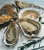 huîtres