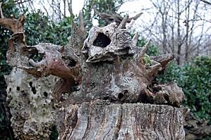 Belle Ile février (82) [1600x1200]