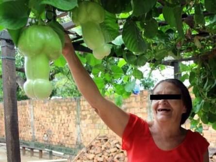 130306 La vieille aux trophées.jpg