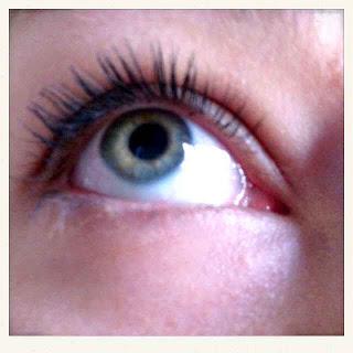 Quand le printemps pointe le bout de son nez....