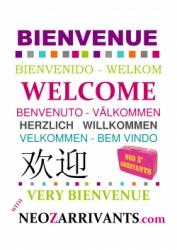 Flux Neozarrivants marseille- mars 2013 Flux Neozarrivants marseille- mars 2013