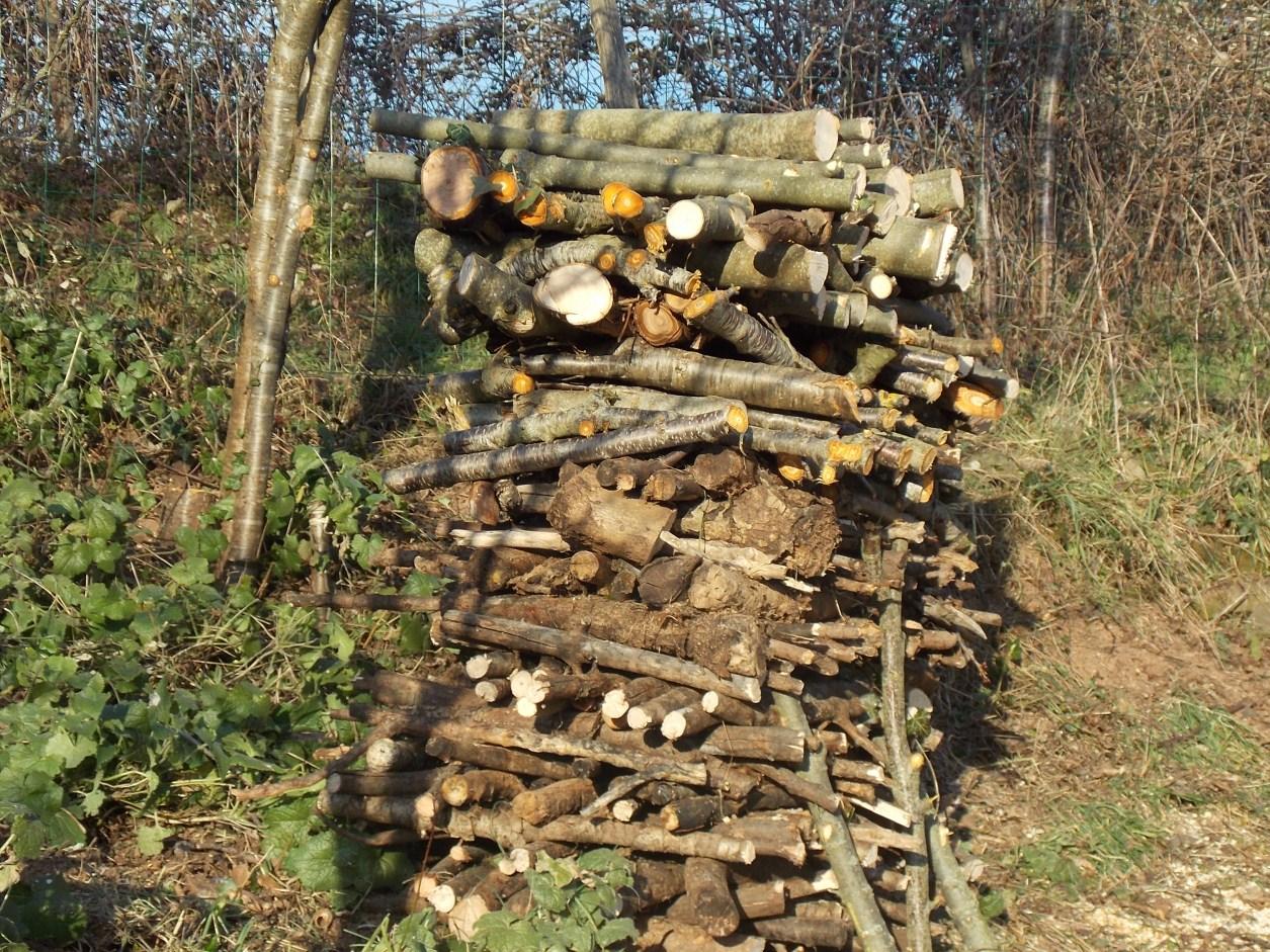 l'équilibre du précaire