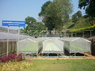 07 | MDE | 6ème chronique 