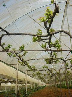 07 | MDE | 6ème chronique 