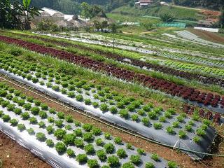 07 | MDE | 6ème chronique 