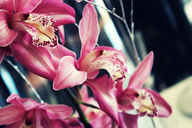 Pictures of December