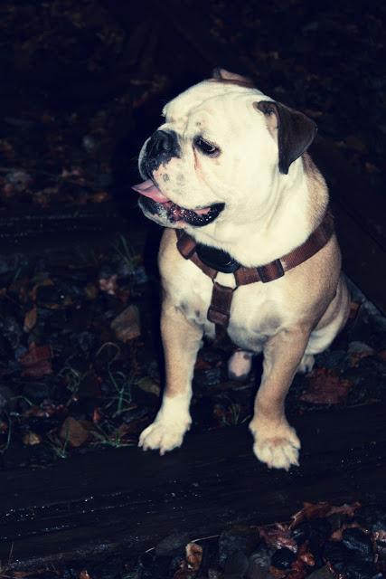 Pictures of December