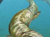 Pannoniasaurus, nouvelle espèce monstre aquatique découverte Hongrie