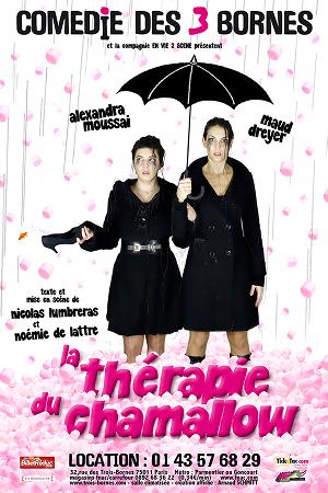 la-therapie-du-chamallow-affiche