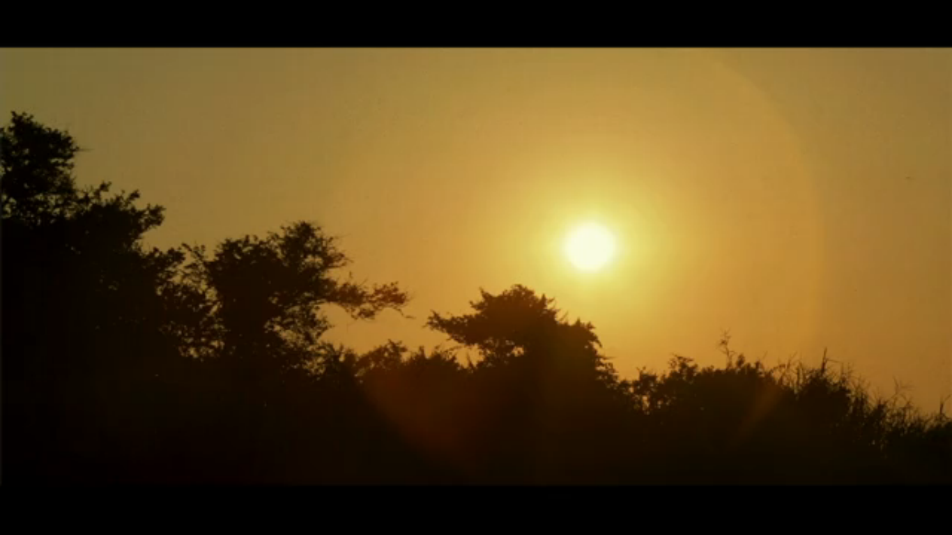 Capture d’écran (44)