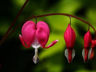 Mes Filtres d'Amour Mes Filtres d'Amour