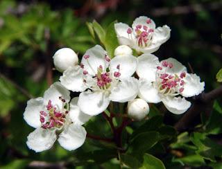 Mes Filtres d'Amour Mes Filtres d'Amour