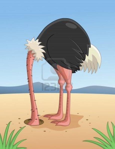 13494971 la tete d 39 autruche dans le sable cachette Le FMI se félicite des progrès du secteur bancaire espagnol...