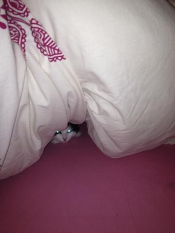 10 bonnes raisons d'aimer l'hiver