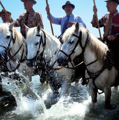 le Grand-Ouest dans tous ses états