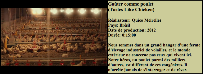 Capture d’écran 2013-03-07 à 10.48.53