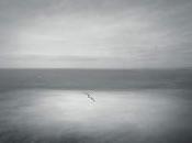 Gyrðir Elíasson Rectificatif