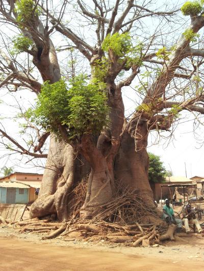 J’irai dormir… chez moi… au Togo 20130118_122713