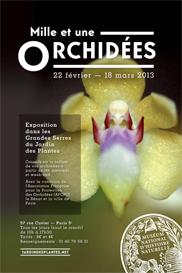 Mille et une orchidées dans les grandes Serres du Jardin des Plantes