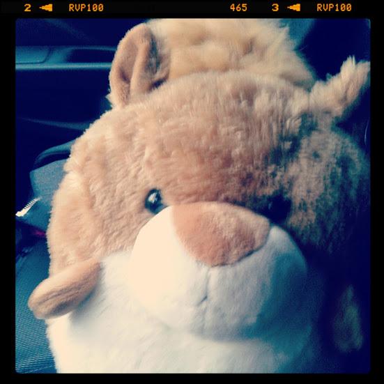 L’évènement du jour... à part le temps gris qui perdure.....