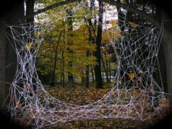 Neobiotype, Antoine Levi Cicero