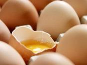 toque oeufs guantanamo