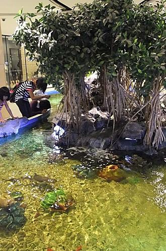 2012-09-09 04-49-18 - DSCF2128 - Copie