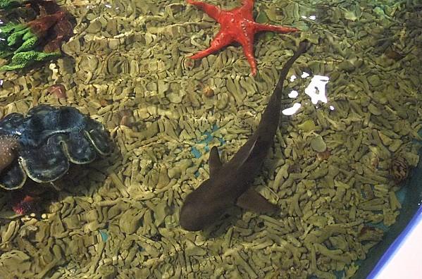 2012-09-09 04-48-14 - DSCF2126 - Copie