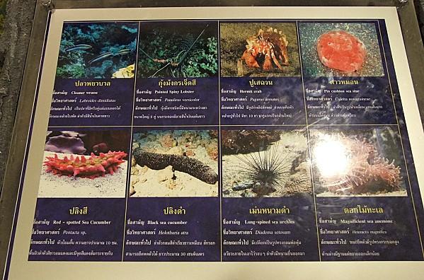 2012-09-09 04-47-21 - DSCF2124 - Copie