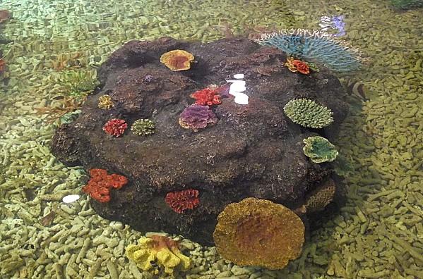 2012-09-09 04-46-55 - DSCF2123 - Copie