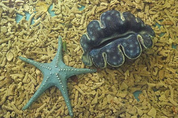 2012-09-09 04-46-40 - DSCF2122