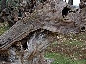 René Frégni pensée jaillissante l’autodidacte (3/8)