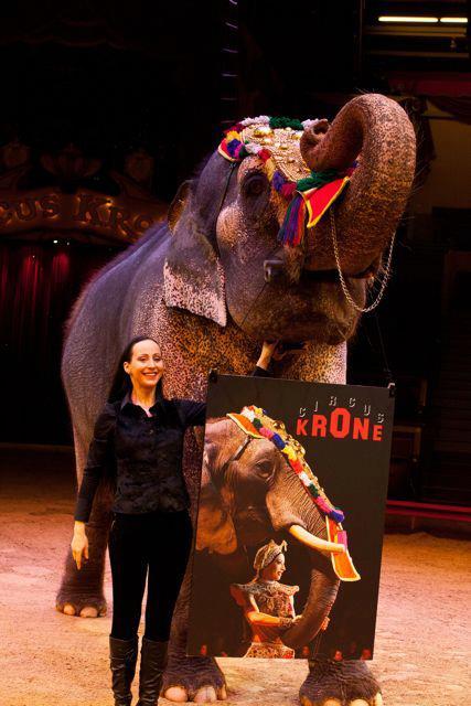 Beaux livres: le Cirque Krone, histoire et vie d'un manège