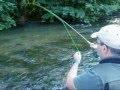 Pêche à la mouche, Haute-Marne en Champagne