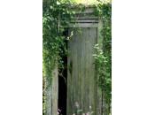 Fleur bleue dans jardin secret consultable ligne (même heures creuses)