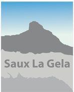 Logo de l'Association pour la Défense et la Protection des Vallées Pyrénéennes de Saux et de La Gela