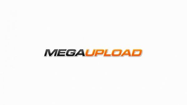 megaupload-logo