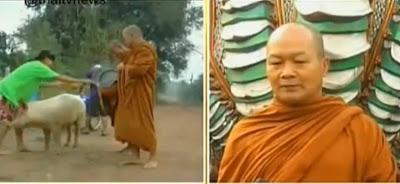 Thaïlande Le cochon aveugle et les moines [HD]