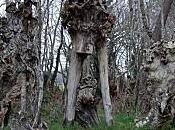 René Frégni pensée jaillissante l’autodidacte (4/8)