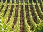 mains France maison Bouchard