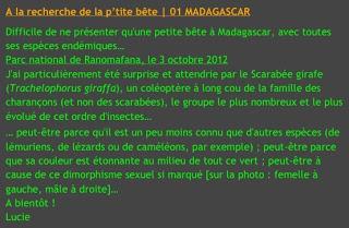 01 | A la recherche de la ptite bête à MADAGASCAR